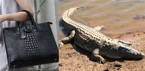 louis vuitton uses animal skin